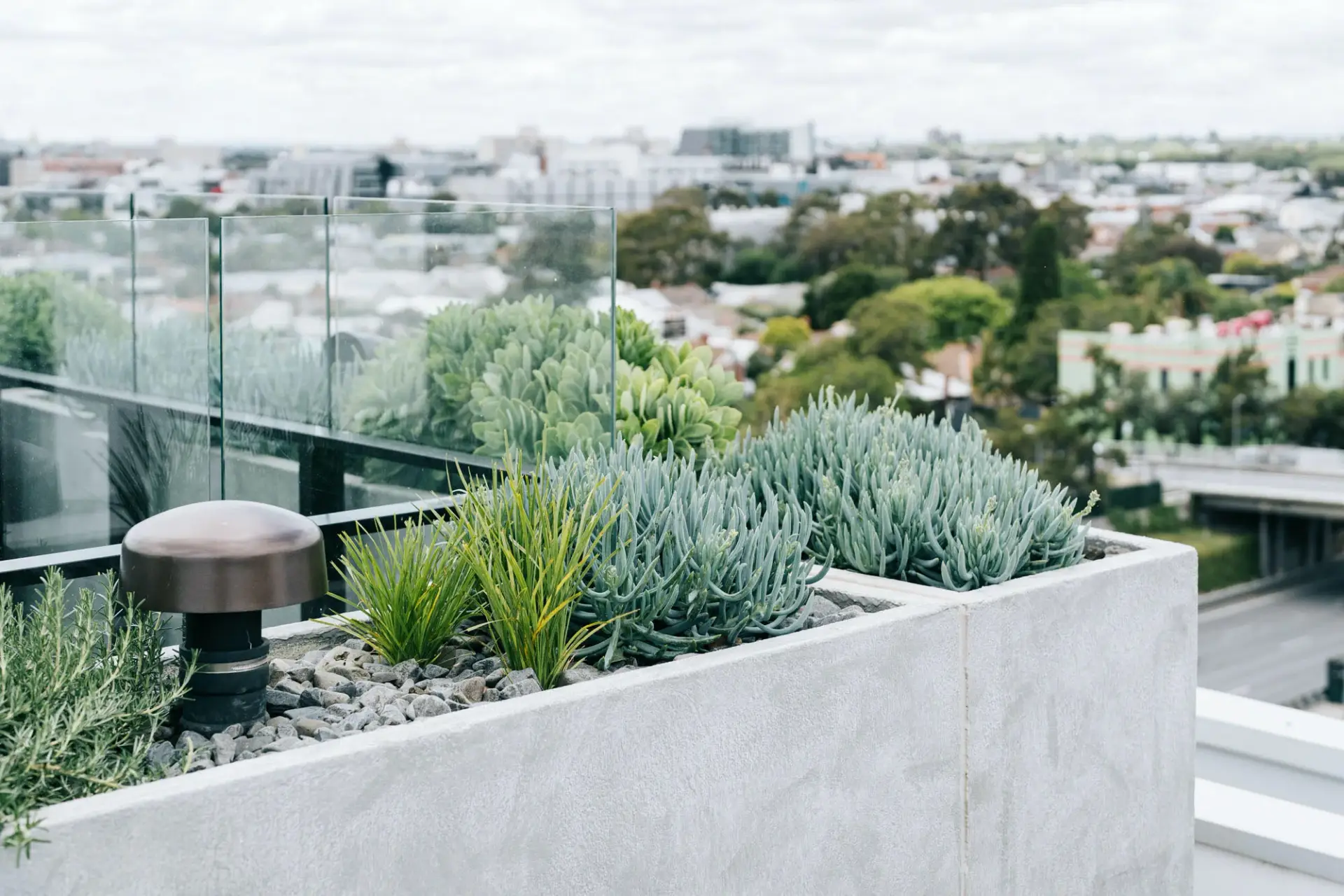Succulent planter boxes on a rooftop garden with glass balustrade and city views.