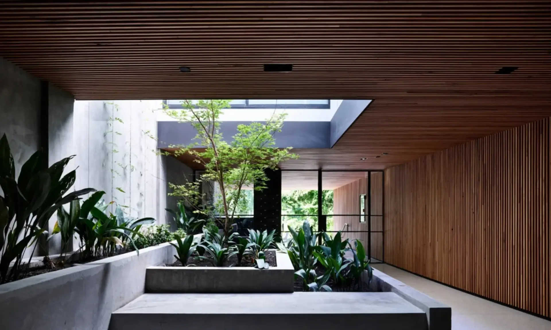 Indoor courtyard garden with architectural lighting and feature planting