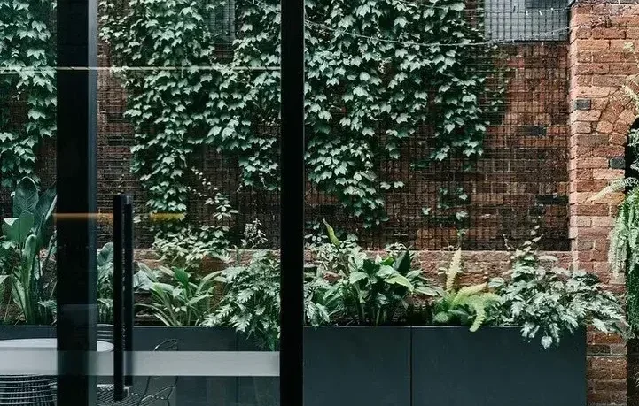Vertical garden on brick wall in urban apartment courtyard